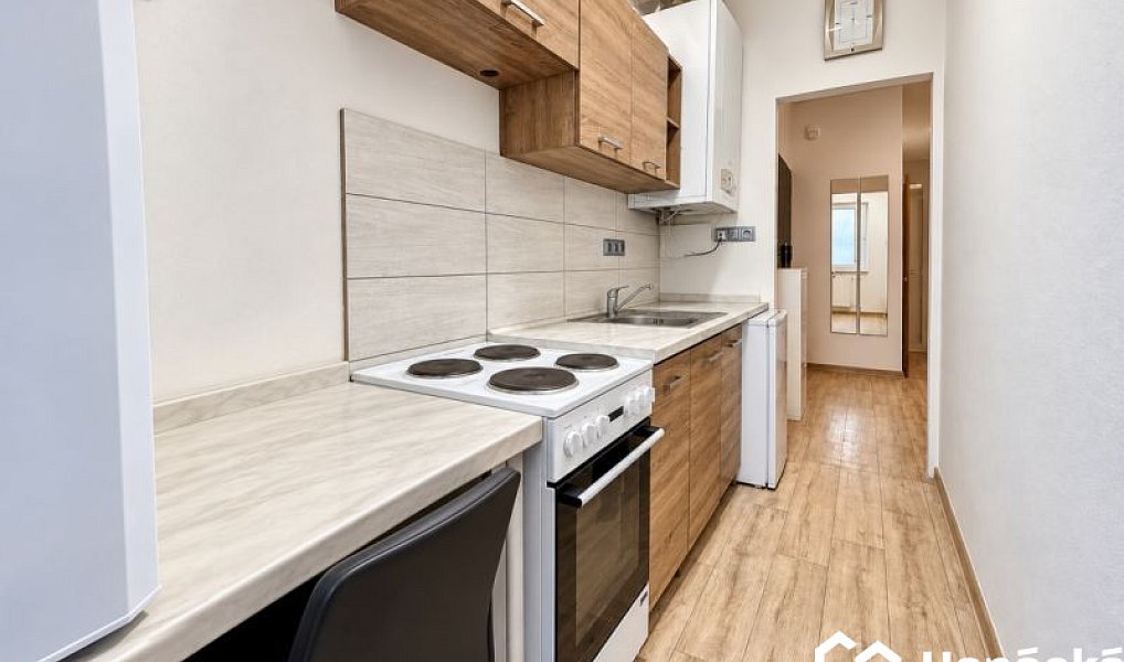 Pronájem bytu 5+kk 13 m², Olomouc – náhled fotky 3