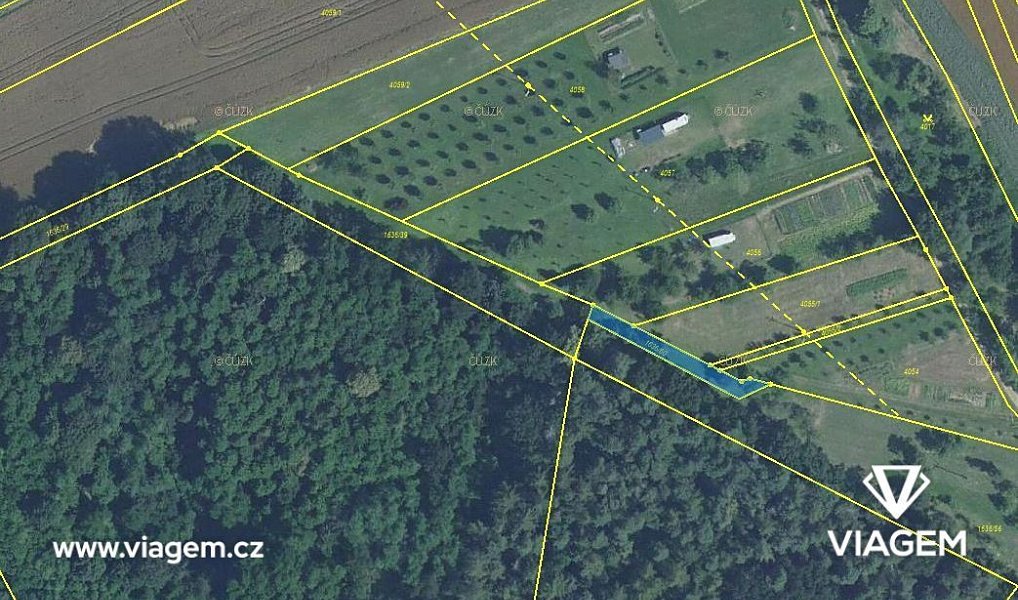 Prodej lesa 446 m², Březolupy – náhled fotky 3