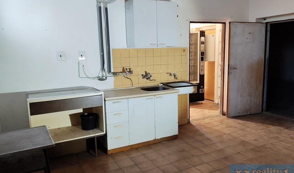 Prodej obchodních prostor 110 m², Polesí – náhled fotky 5