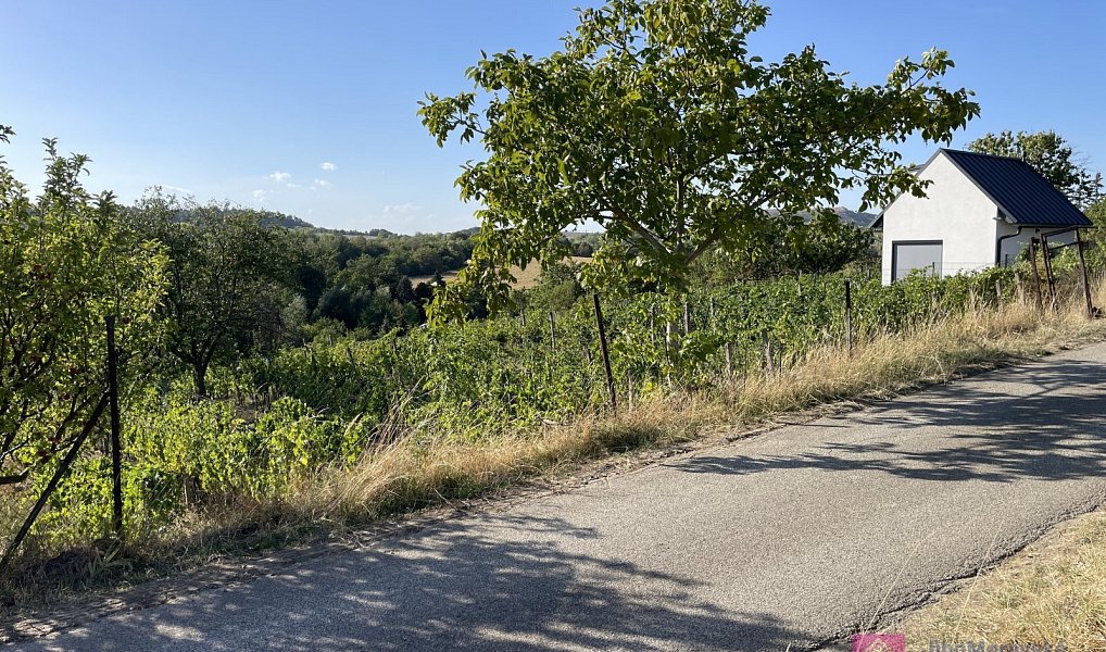 Prodej zahrady 1 256 m², Mikulov – náhled fotky 2