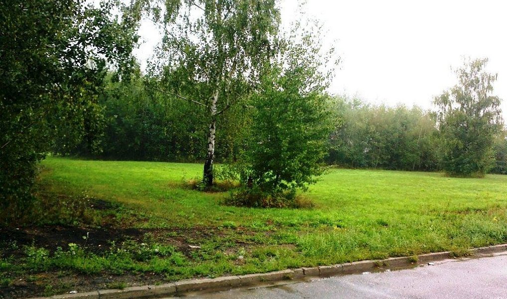 Prodej komerčního pozemku 6 000 m², Mohelnice – náhled fotky 2