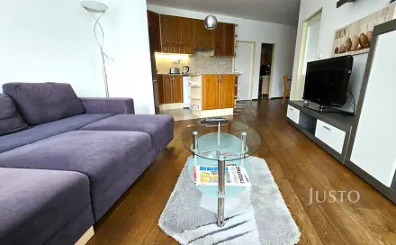 Pronájem bytu 3+kk 68 m², V Portyči, Písek - Pražské Předměstí