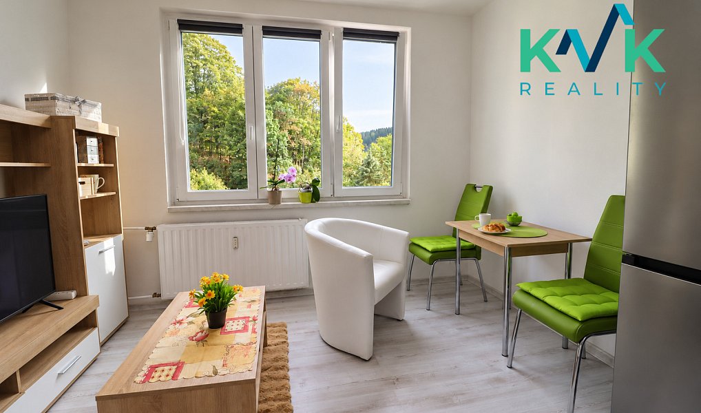 Prodej bytu 1+1 35 m², Kraslice – náhled fotky 3