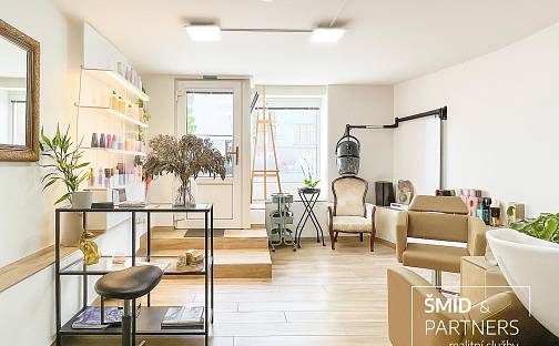 Prodej obchodních prostor 40 m², Hakenova, Poděbrady - Poděbrady III, okres Nymburk