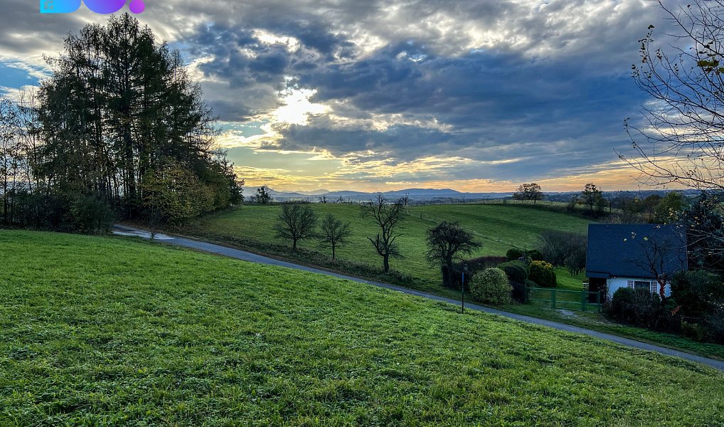 Prodej stavebního pozemku 4 357 m², Těrlicko – náhled fotky 5