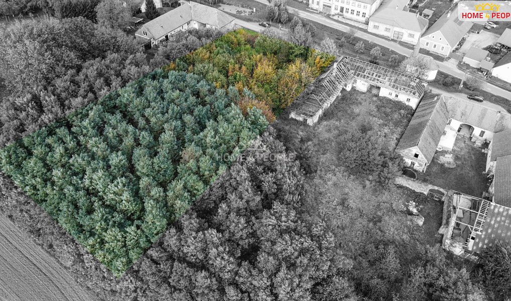 Prodej stavebního pozemku 3 468 m², Dešná – náhled fotky 2