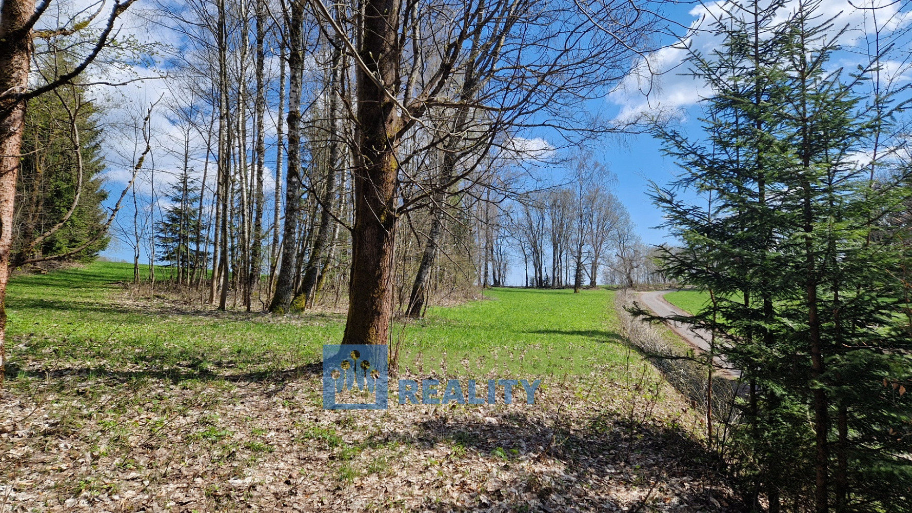 Prodej pozemku 2 788 m² – fotografie 4