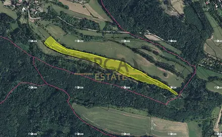 Prodej louky 30 391 m², Kyje, okres Jičín