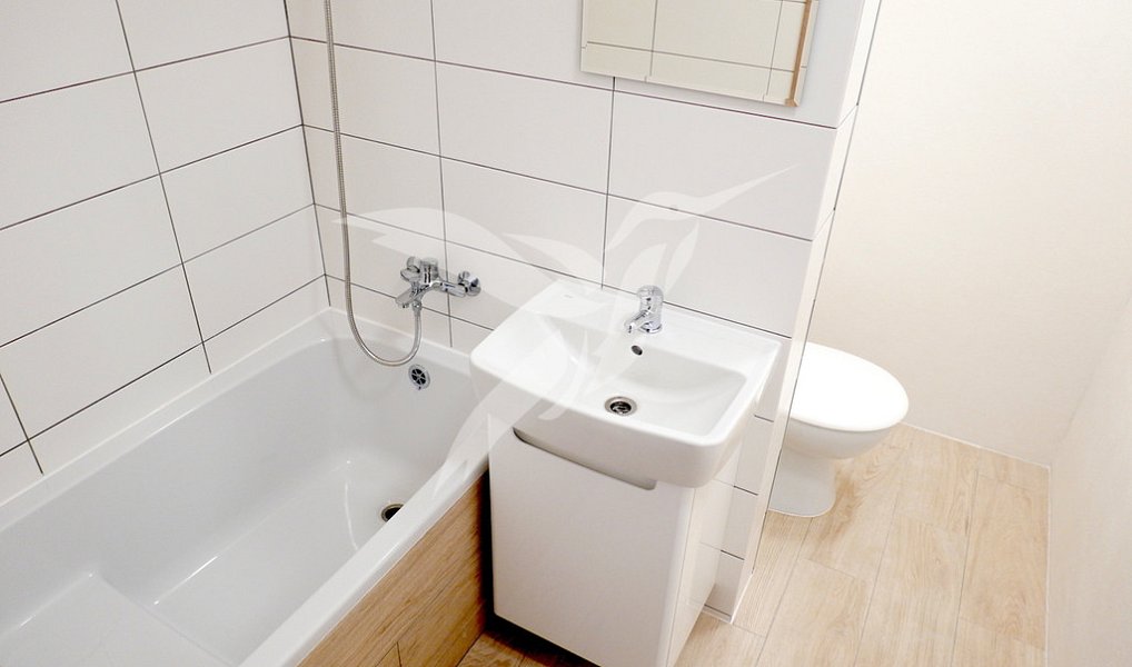 Pronájem bytu 1+kk 31 m², Plzeň – náhled fotky 6