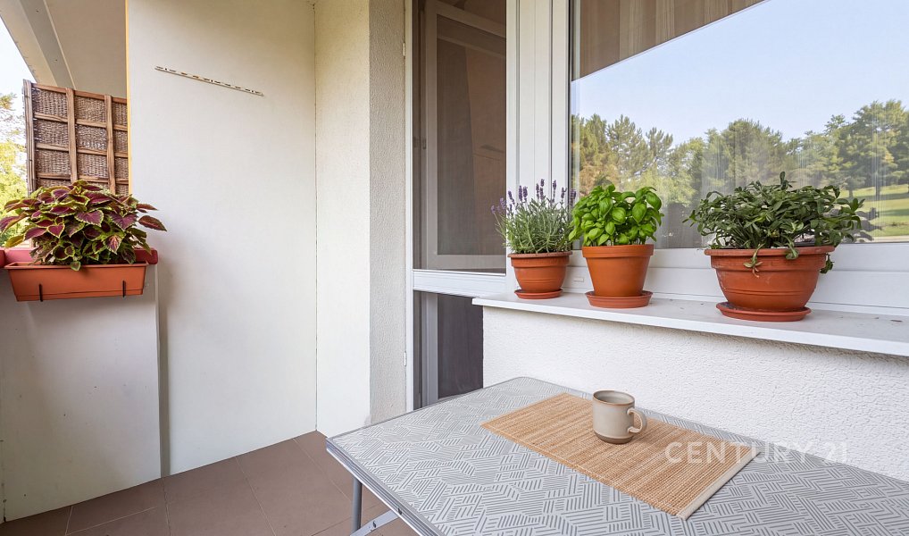 Prodej bytu 2+1 58 m², Brno – náhled fotky 9