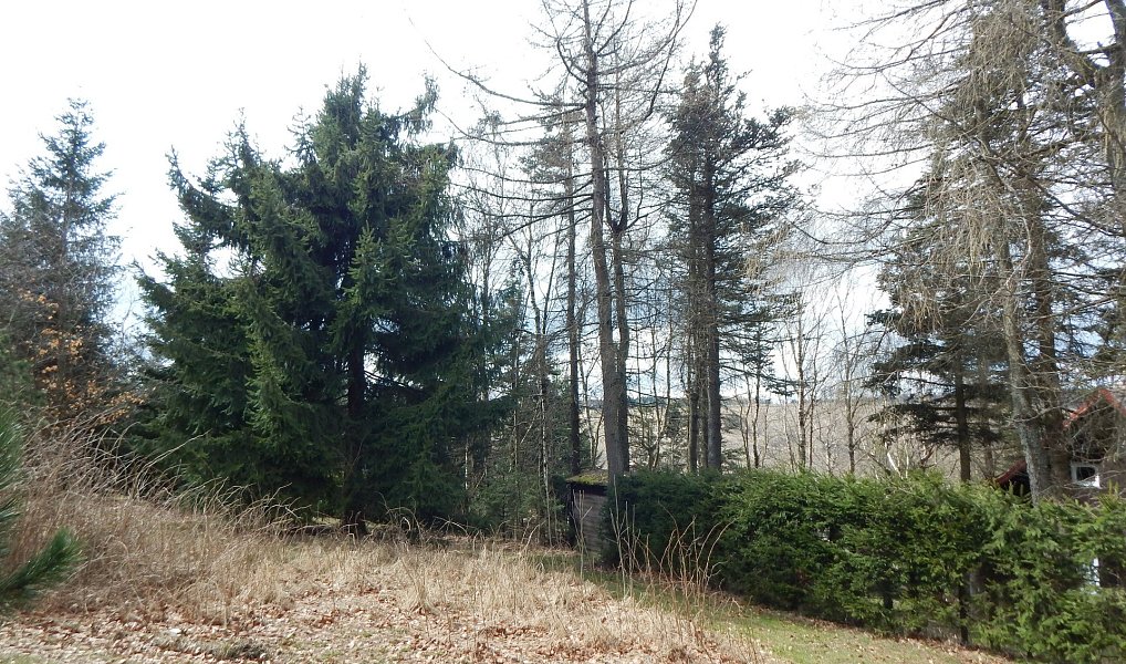 Prodej chaty/chalupy 50 m² s pozemkem 308 m², Moldava – náhled fotky 14