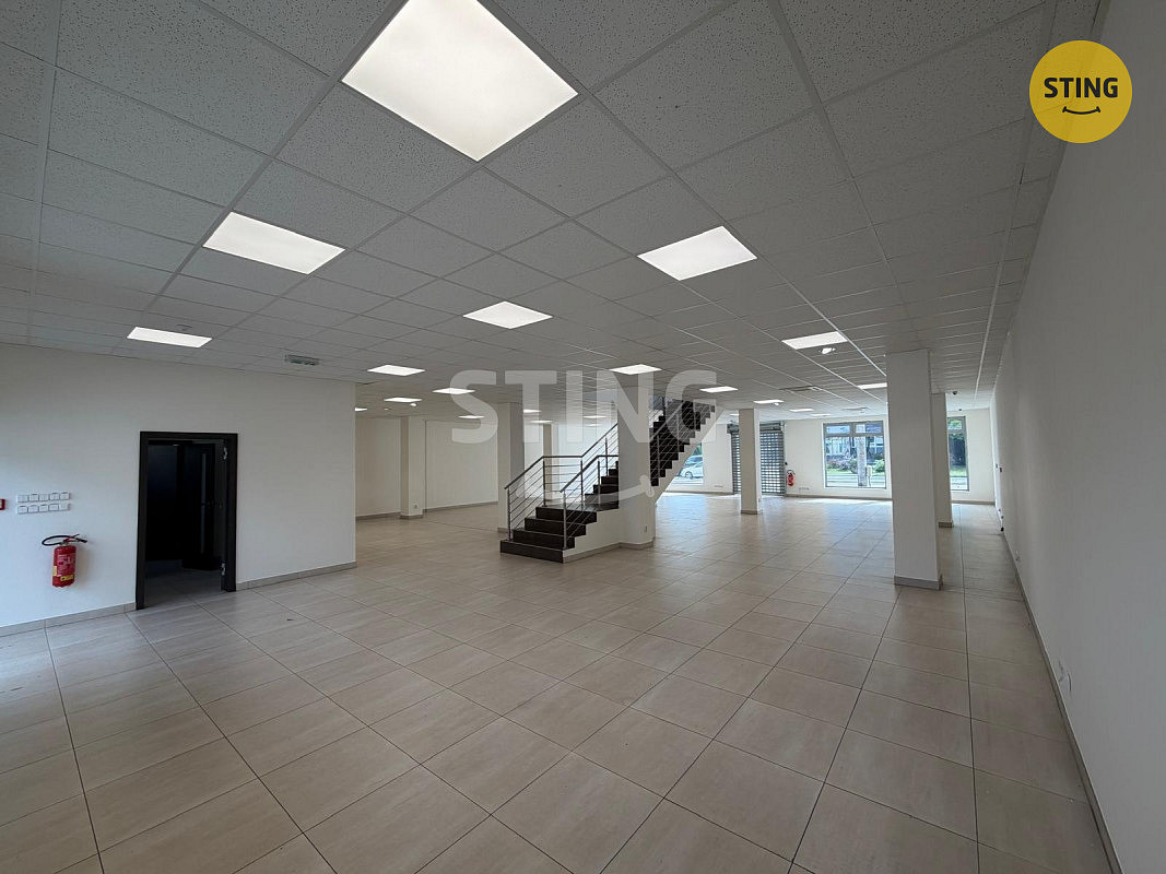 Pronájem obchodních prostor 350 m² – fotografie 2