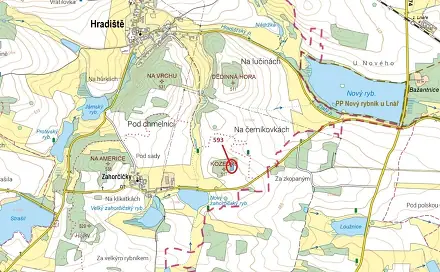 Dražba lesa 2 226 m², Hradiště