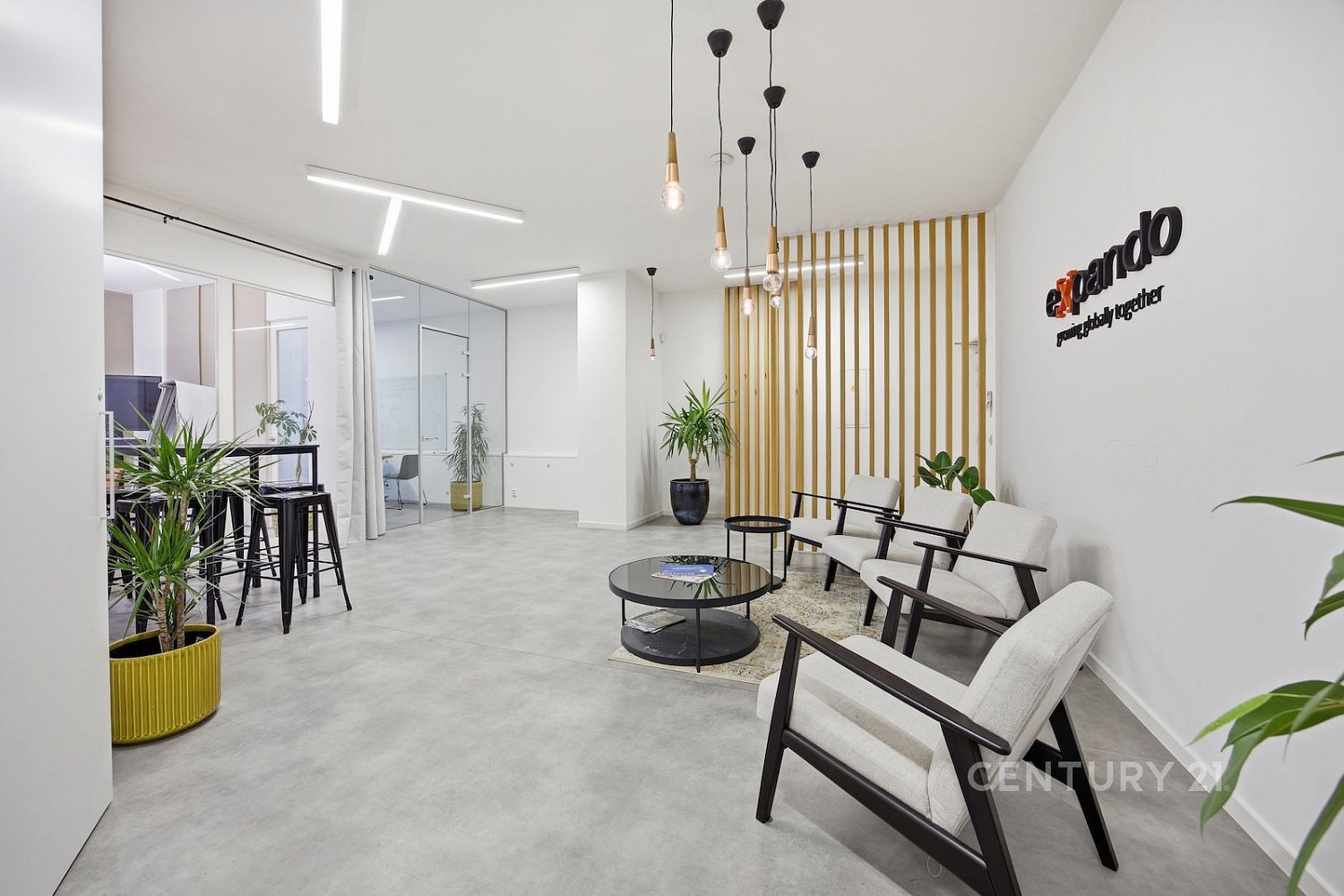 Pronájem kanceláře 232 m² – fotografie 3