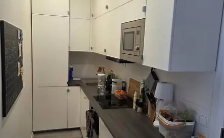 Pronájem bytu 2+kk 43 m², Hartigova, Praha 3 - Žižkov