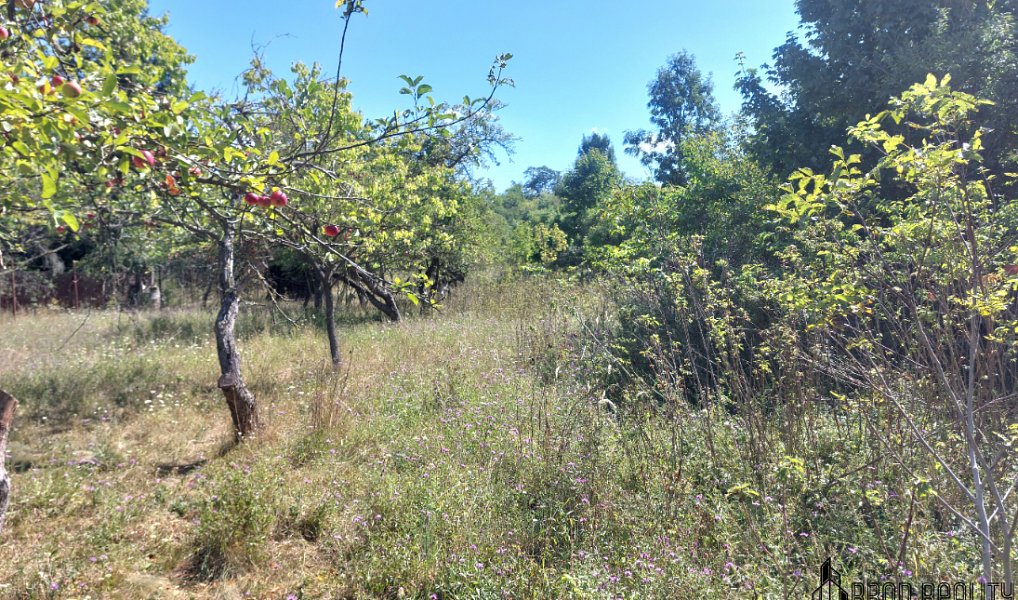 Prodej zahrady 1 578 m², Brno – náhled fotky 7