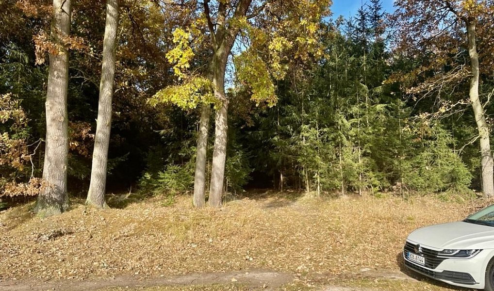Prodej lesa 1 919 m², Pištín – náhled fotky 6