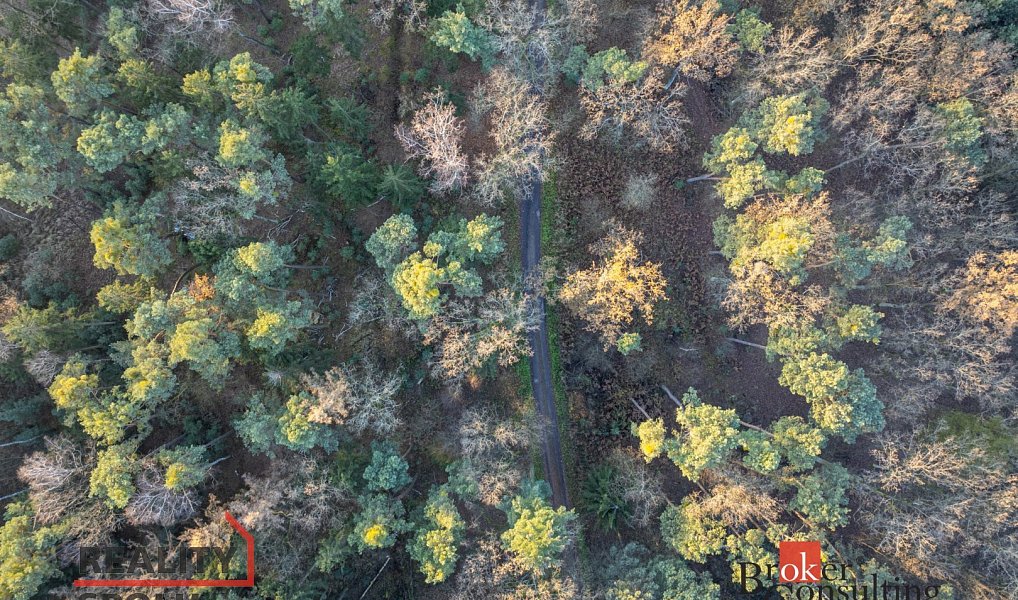 Prodej domu 125 m² s pozemkem 816 m², Sezemice – náhled fotky 13