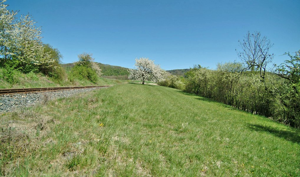 Prodej louky 873 m², Kněžnice – náhled fotky 3