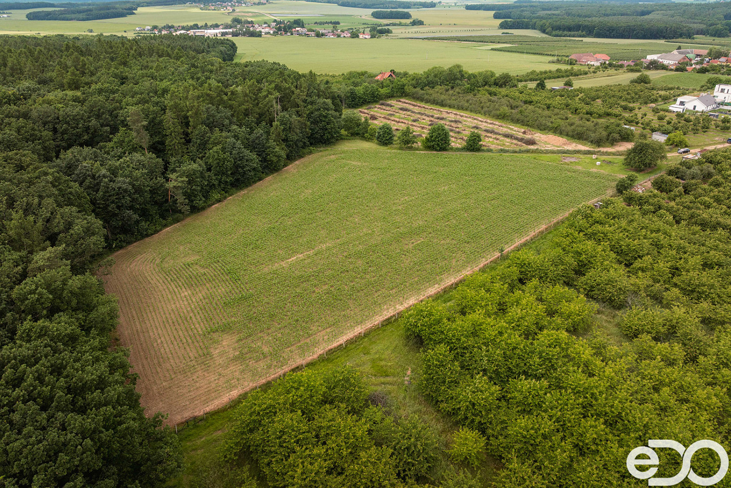 Prodej stavebního pozemku 11 163 m² – fotografie 3