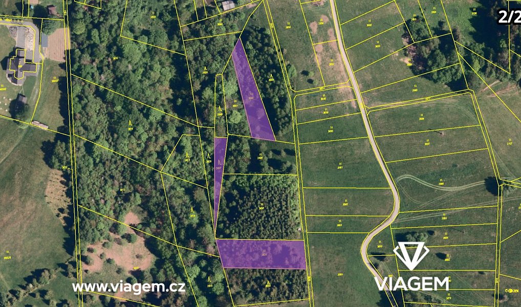 Prodej lesa 4 836 m², Hrčava – náhled fotky 8