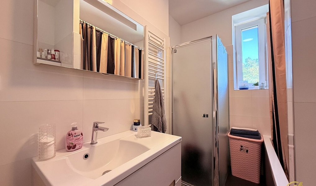 Pronájem bytu 3+kk 71 m², Libiš – náhled fotky 8