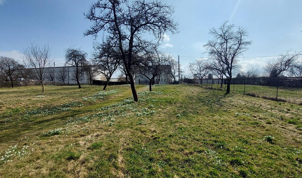 Prodej stavebního pozemku 1 563 m², Lešná – náhled fotky 12