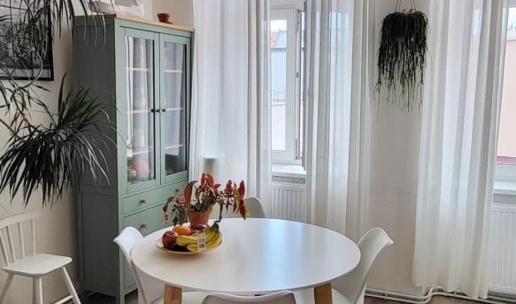 Pronájem bytu 2+1 75 m², Praha – náhled fotky 12