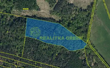 Prodej lesa 20 160 m², Sopřeč, okres Pardubice