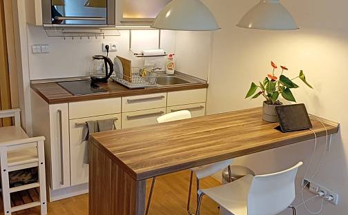 Pronájem bytu 1+kk 25 m², Táborská, Brno - Židenice