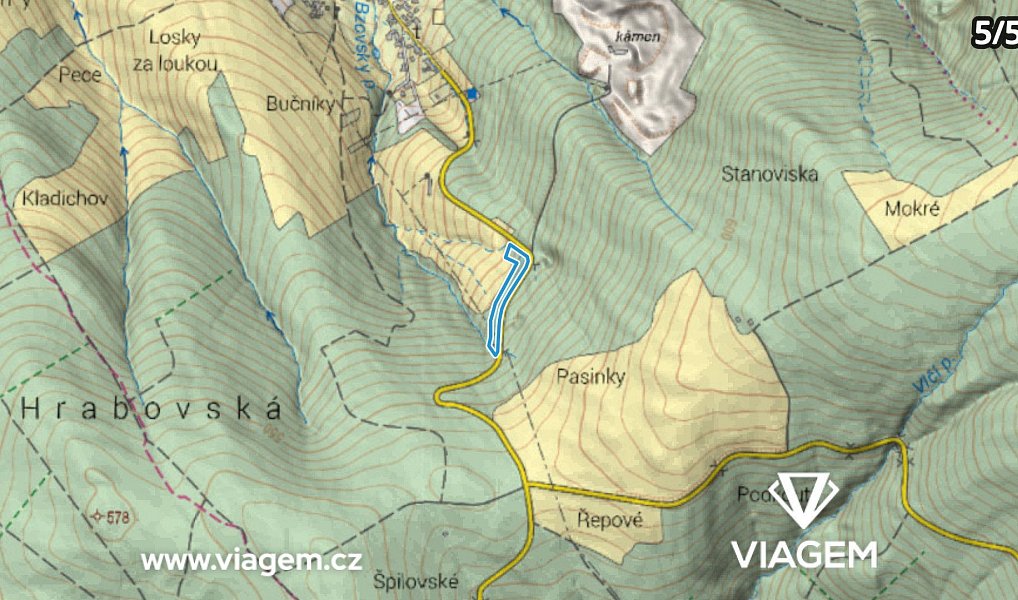 Prodej lesa 3 318 m², Bojkovice – náhled fotky 19