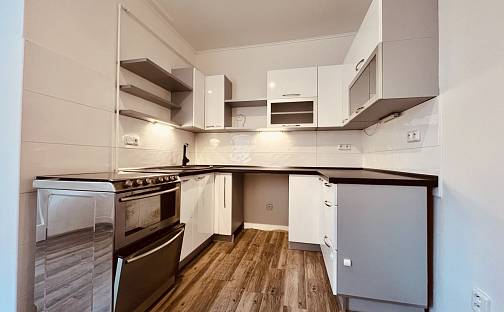 Pronájem bytu 1+1 46 m², Garážní, Ostrava - Moravská Ostrava