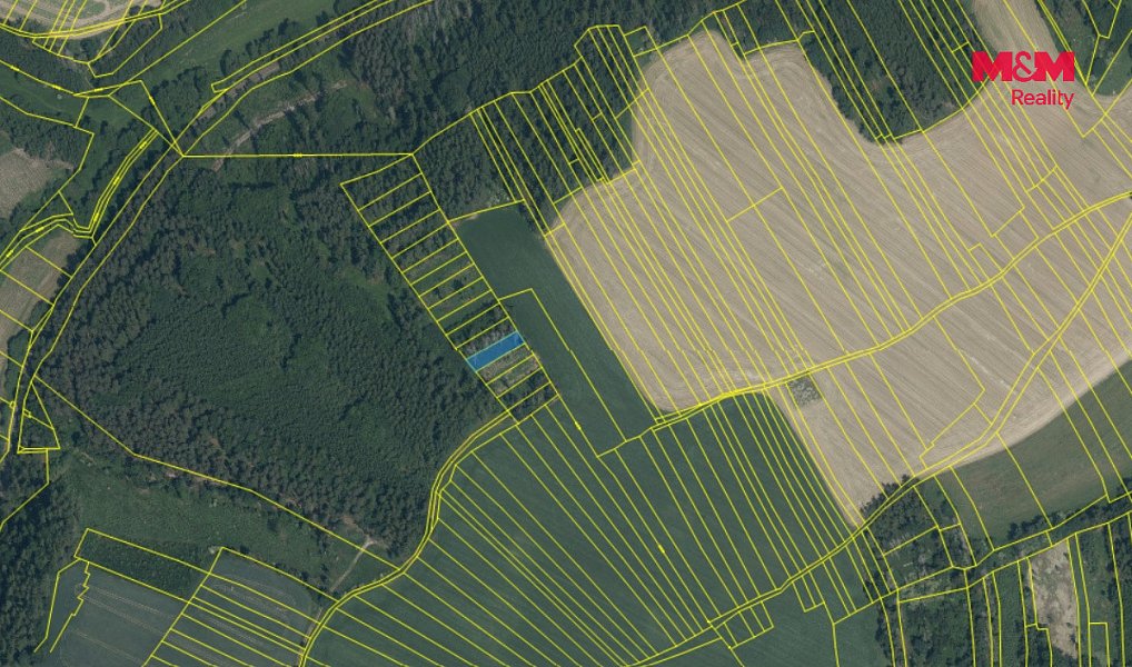Prodej lesa 4 377 m², Chlum – náhled fotky 4