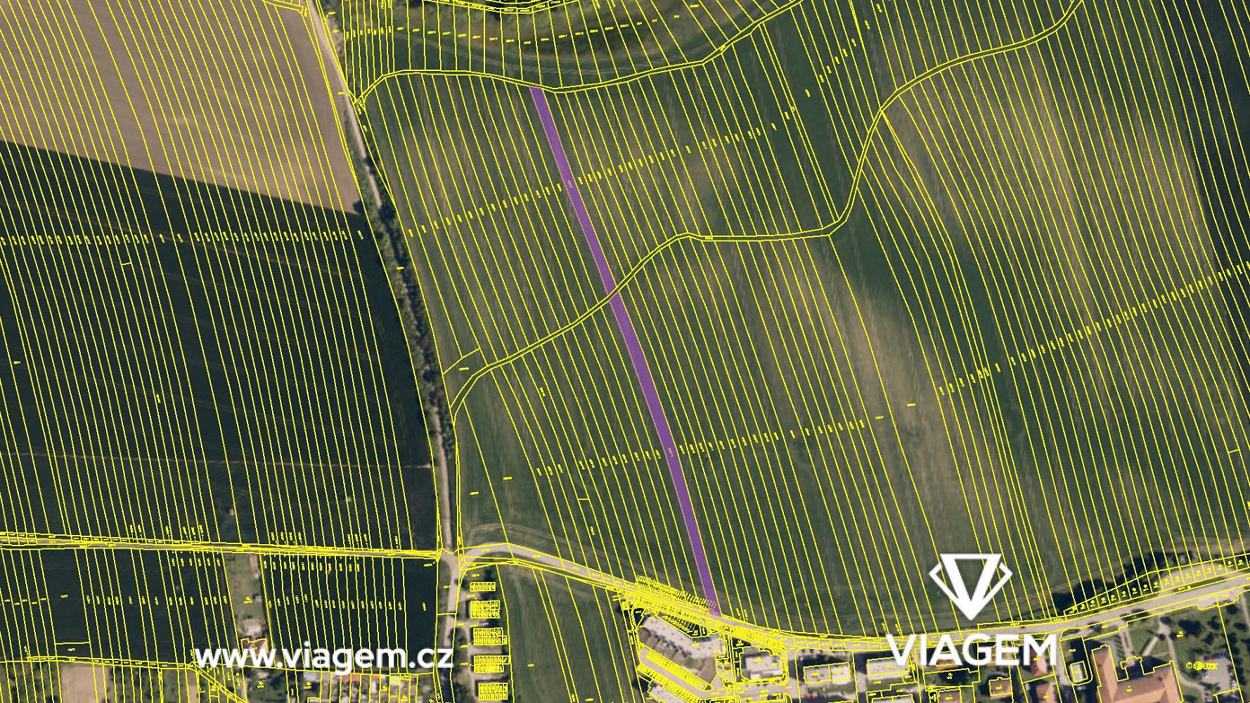 Prodej pole 1 207 m² – fotografie 4