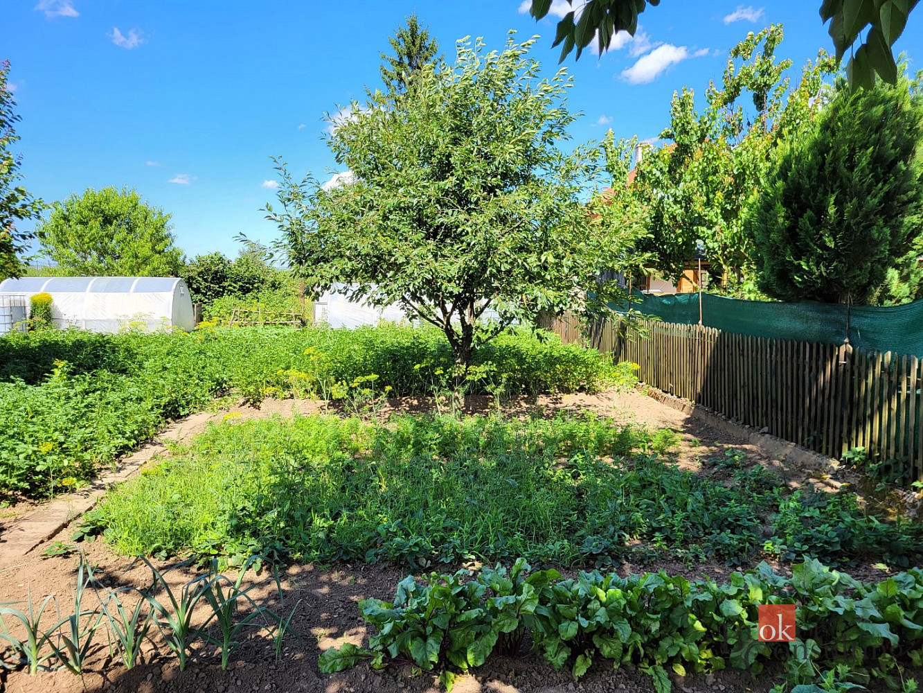 Prodej zahrady 305 m² — photo 4