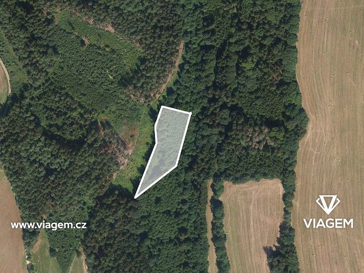 Prodej lesa 1 096 m² – fotografie 2