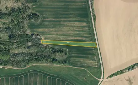 Prodej pole 12 602 m², Načeradec - Daměnice, okres Benešov