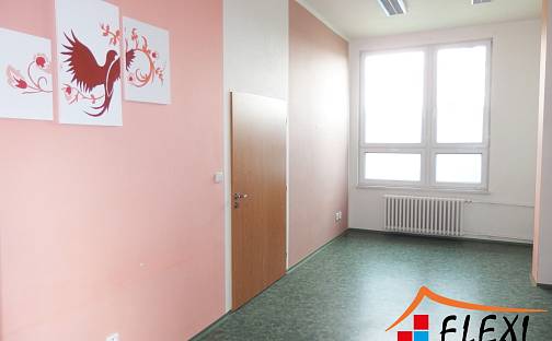 Pronájem komerčního objektu (jiného typu) 430 m², Hrušovská, Ostrava - Moravská Ostrava