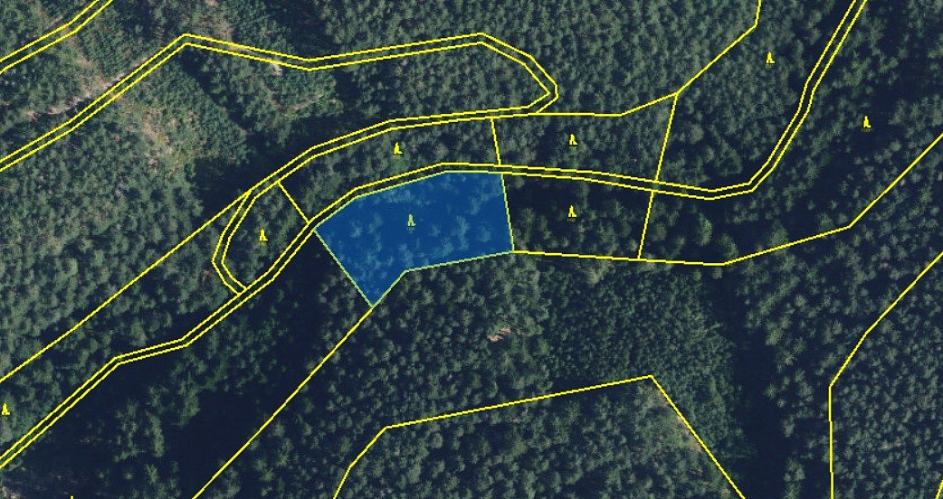 Prodej lesa 5 021 m² – pohled 2