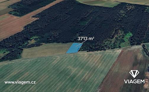 Prodej pole 3 713 m², Velký Borek, okres Mělník