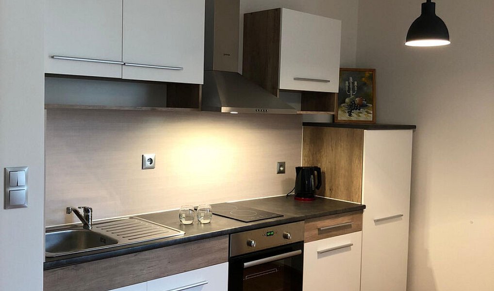 Pronájem bytu 1+kk 47 m², Karlovy Vary – náhled fotky 3