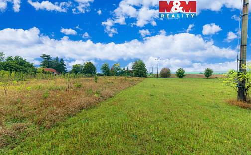 Prodej stavebního pozemku 3 026 m², Kolešovice, okres Rakovník