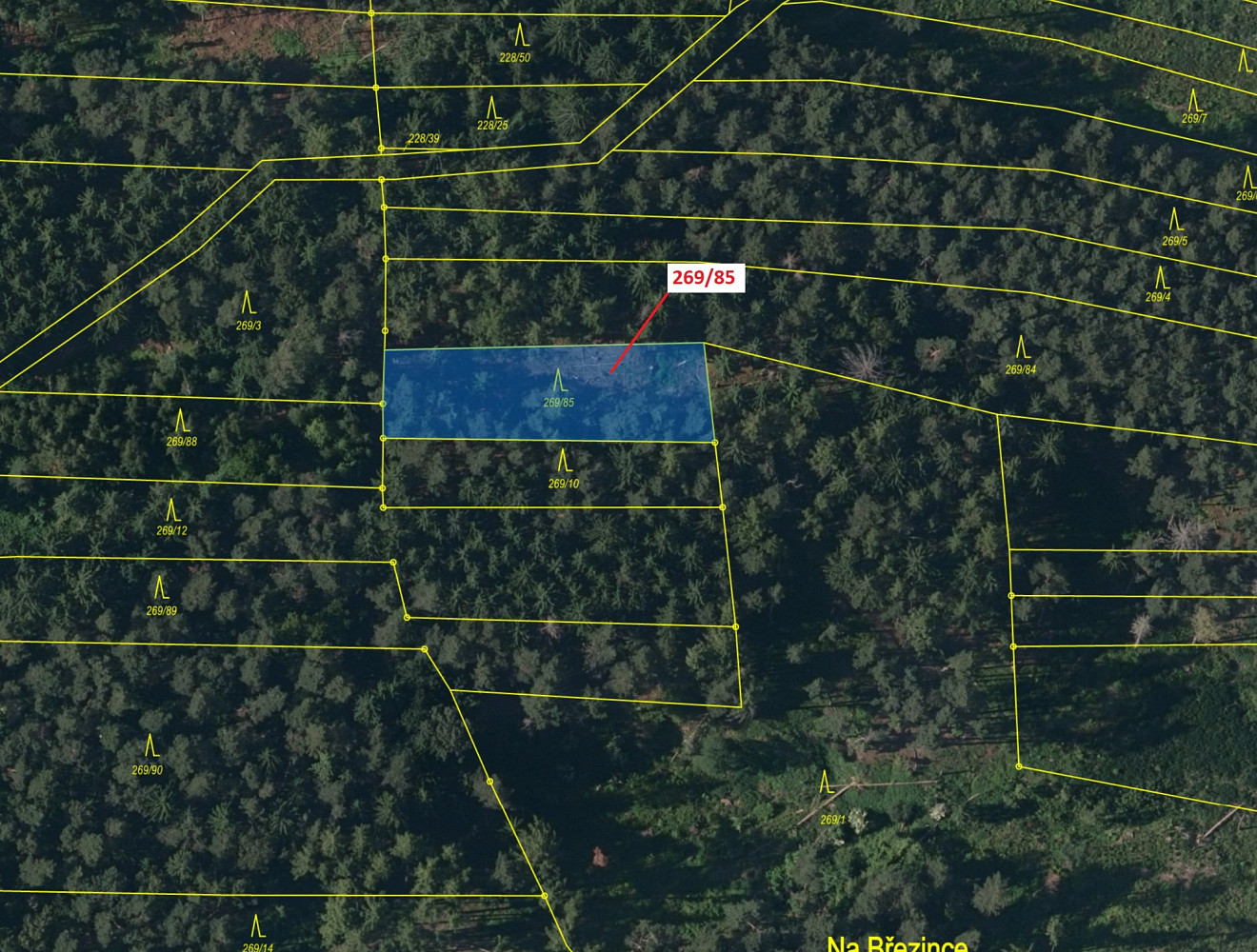 Dražba lesa 1 049 m² – pohled 2