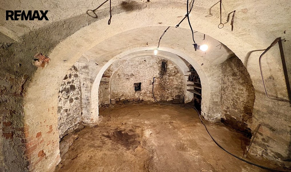 Prodej domu 370 m² s pozemkem 425 m², Počátky – náhled fotky 20