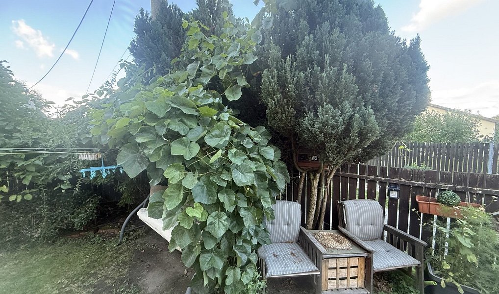 Prodej domu 140 m² s pozemkem 224 m², Ledce – náhled fotky 5