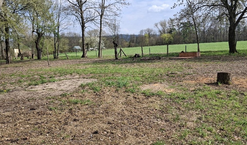Prodej stavebního pozemku 2 666 m², Jenišovice – náhled fotky 10