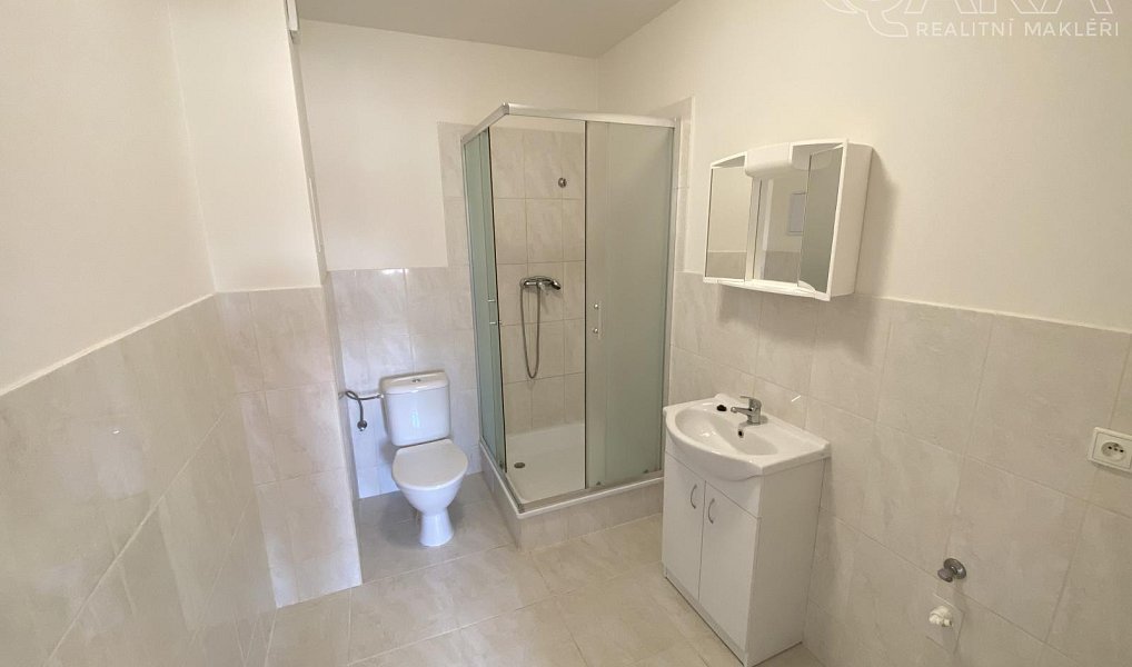 Pronájem bytu 1+kk 46 m², Ivanovice na Hané – náhled fotky 2