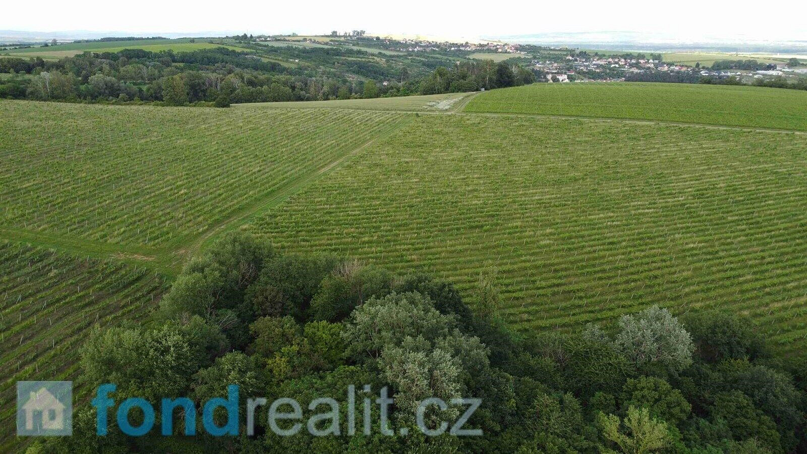 Prodej pozemku 27 055 m² – fotografie 4