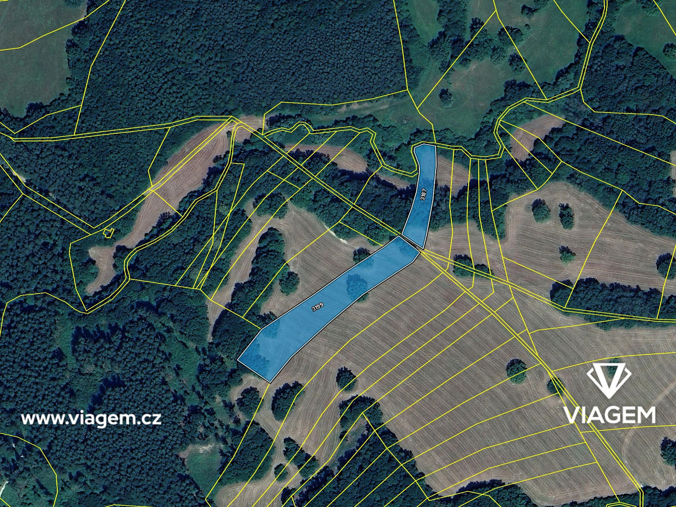 Prodej pole 988 m² – fotografie 4