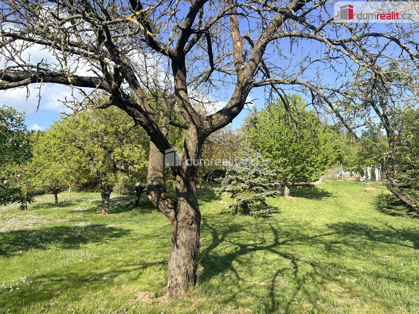 Prodej zahrady 888 m² — photo 3